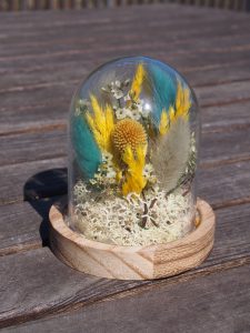 baby cloche en verre de fleurs séchées jaunes et bleues