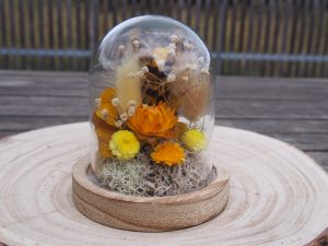 Baby cloche jaune plume immortelle