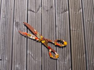 Ciseaux de cuisine collage de fleurs séchées rouge orange