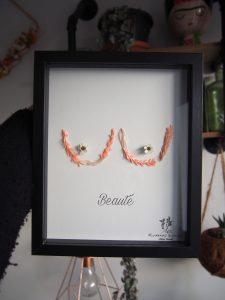 cadre vitrine noir avec collage de fleurs séchées représentant une poitrine nommée beauté