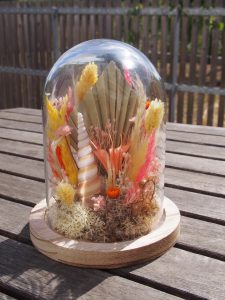 Cloche été coquillage - jaune, orange - fleurs séchées